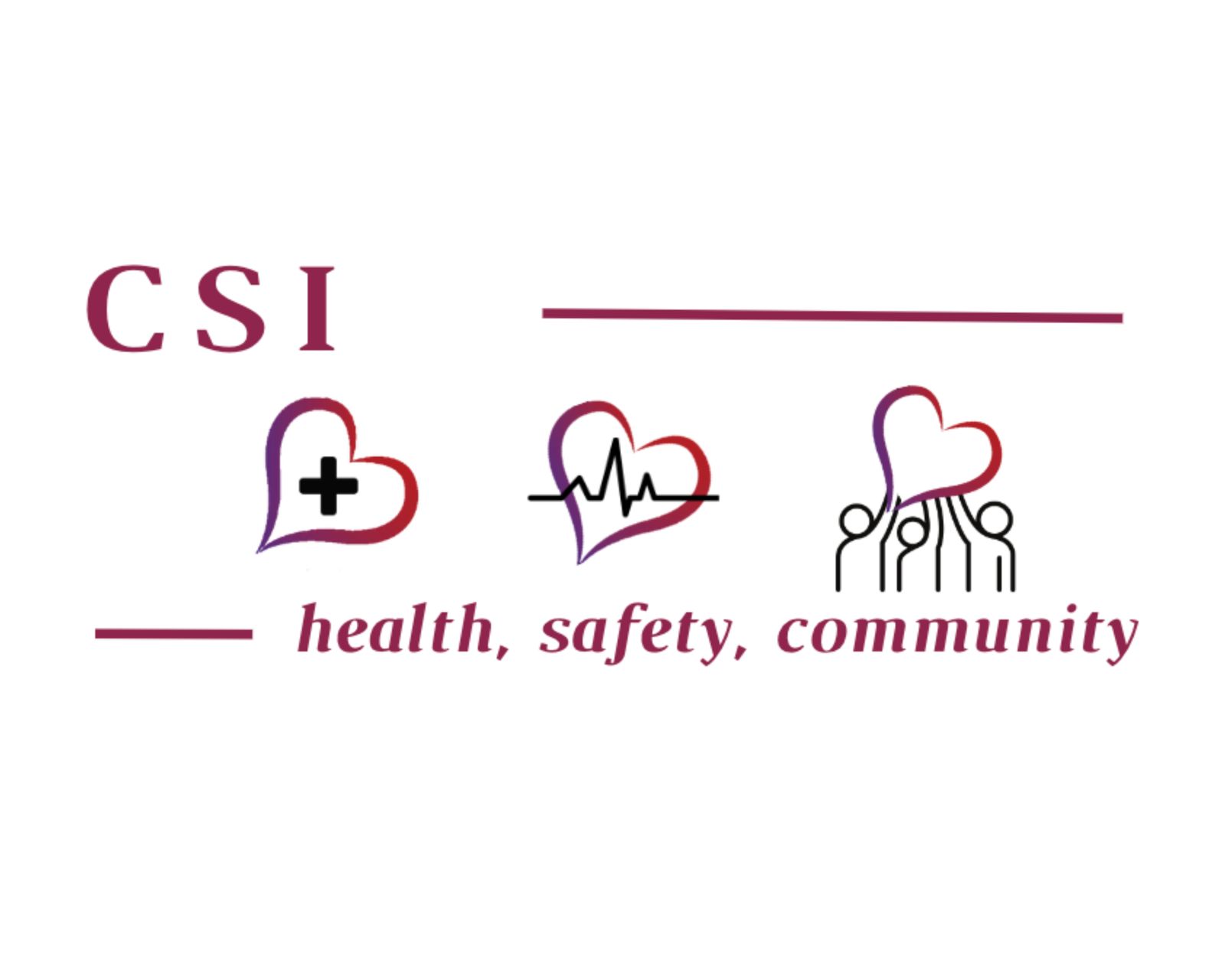 certifiedsafetyinstructors.com